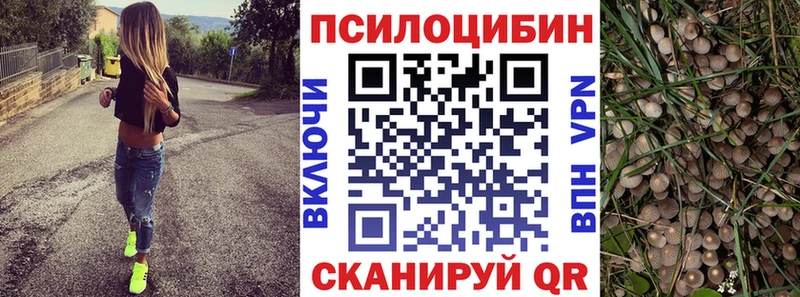 Галлюциногенные грибы GOLDEN TEACHER  Гудермес 