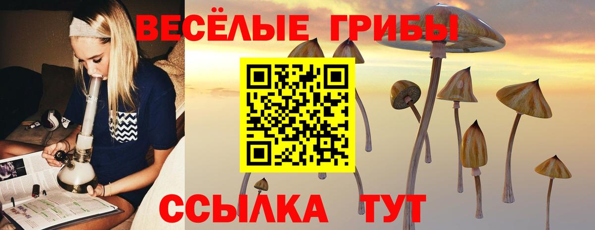 Псилоцибиновые грибы Cubensis  Вход с VPN  Гудермес 