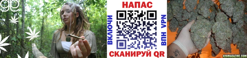 Каннабис индика  Гудермес 